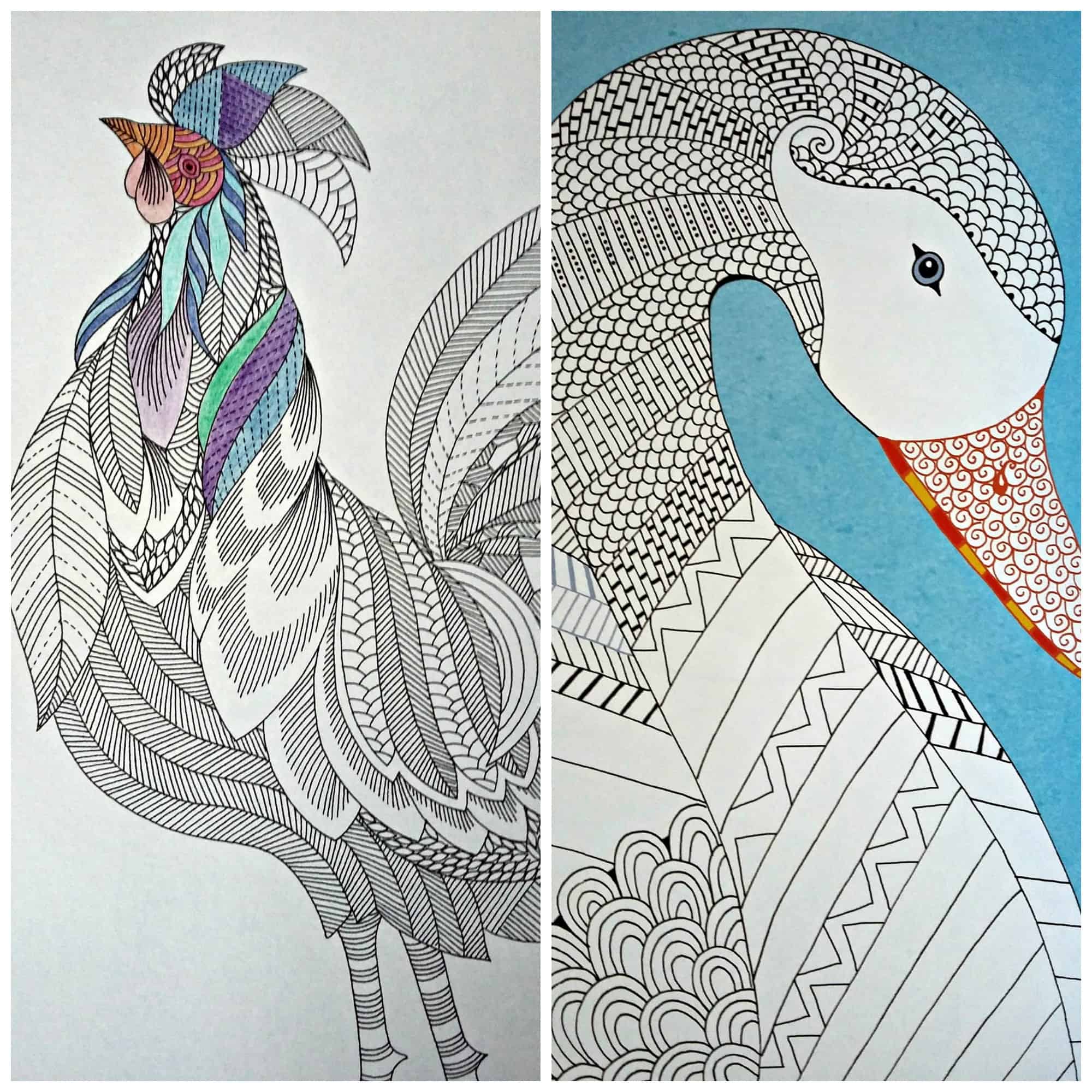 Colouring Books For Adults: Why You Should Get One - Birch And Button