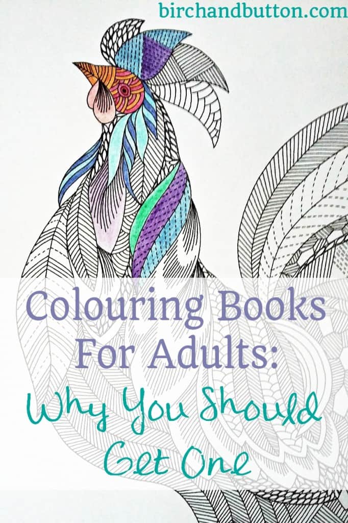 Colouring Books For Adults: Why You Should Get One | birchandbutton.com