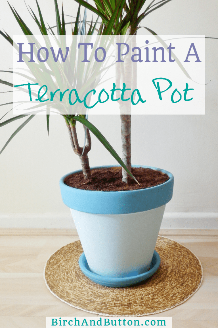 How To Paint A Terracotta Pot Birch And Button
