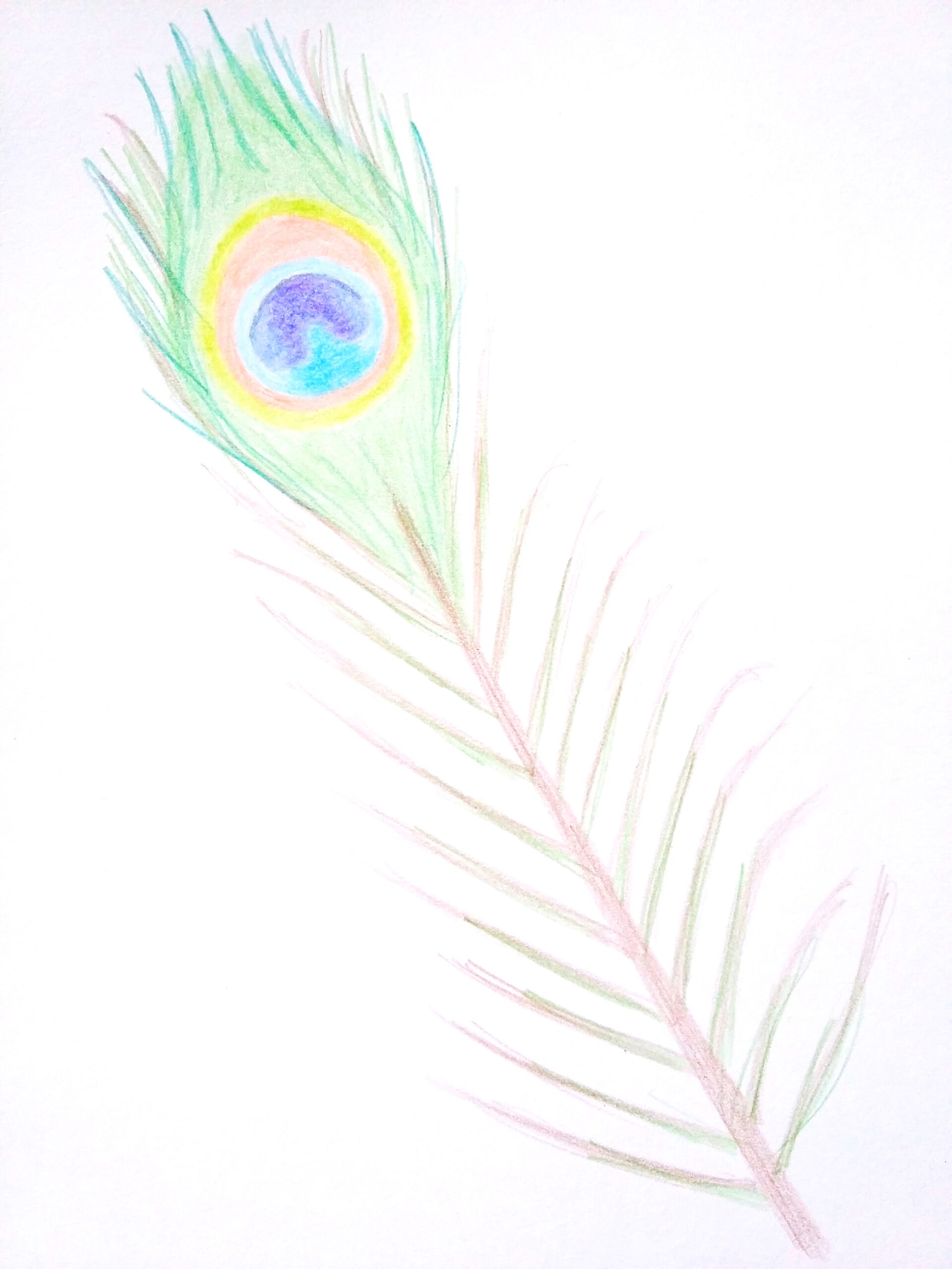 How to Draw a Peacock Step by Step | Pencil Art | Very easy step by step peacock  drawing with pastel color. How to draw a peacock step by step. Easy peacock