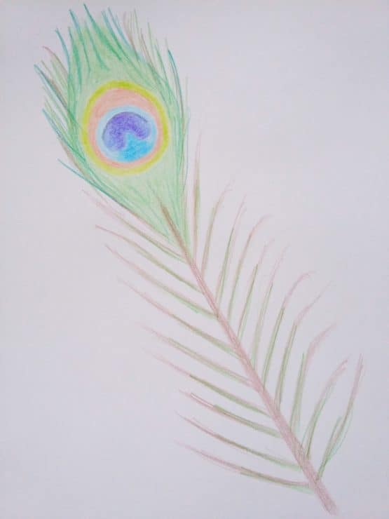 How To Draw A Peacock Feather With Watercolour Pencils - Birch And Button