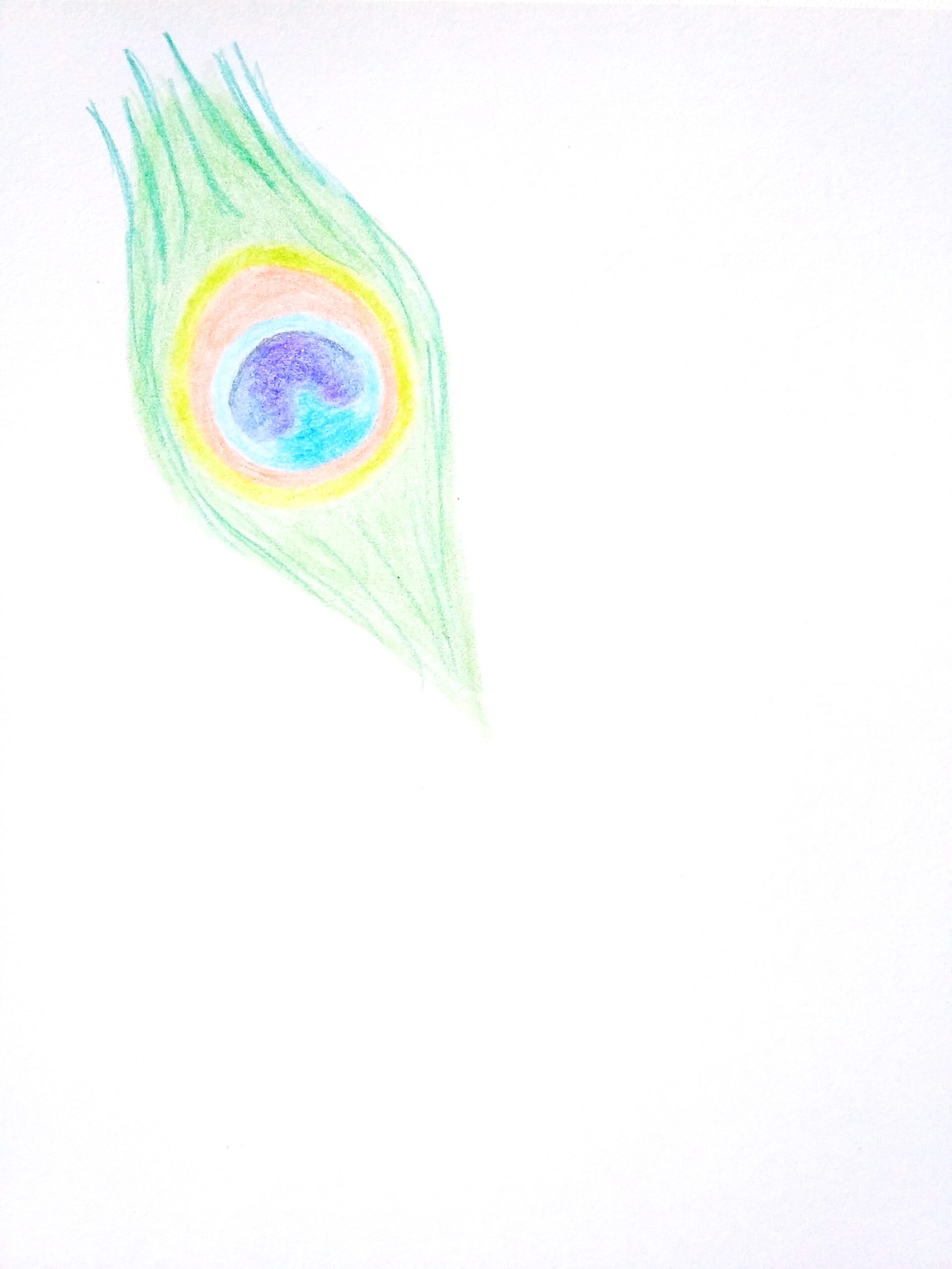 Peacock Feather Drawing, Feather Art - Folksy