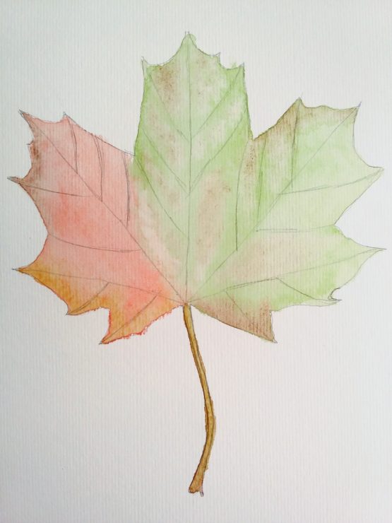 how-to-paint-an-autumn-leaf-with-watercolours-birch-and-button