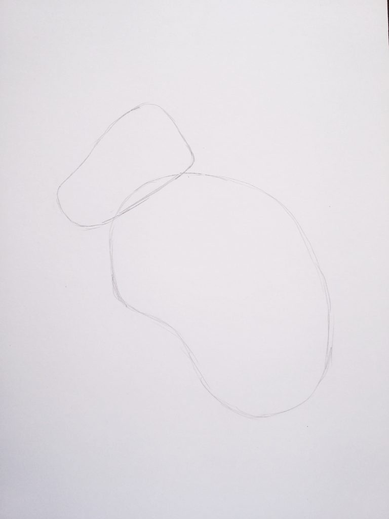 How To Draw A Hare Birch And Button