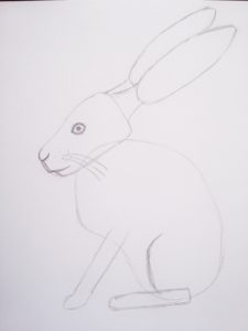 Since spring is around the corner, this tutorial is all about how to draw a hare. It’s actually easier than you think, especially when it’s broken down into simple shapes. Click through to learn how to draw a hare step-by-step.