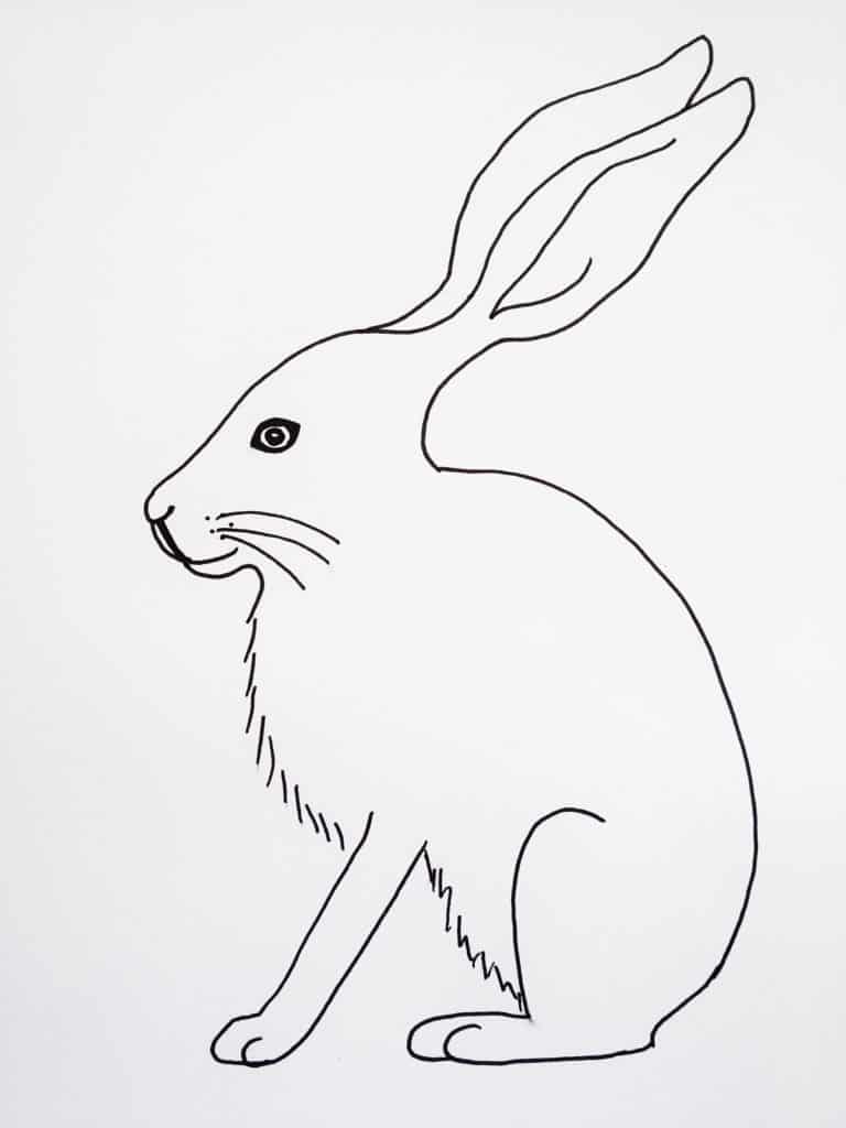 Since spring is around the corner, this tutorial is all about how to draw a hare. It’s actually easier than you think, especially when it’s broken down into simple shapes. Click through to learn how to draw a hare step-by-step.