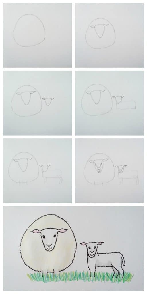 How to Draw a Sheep Easy Step by Step 🐑 - YouTube