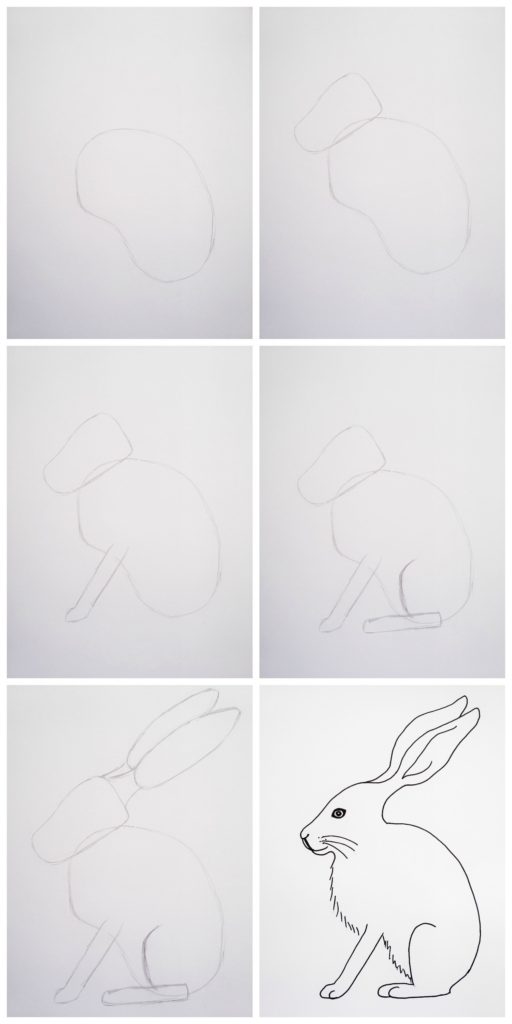 Since spring is around the corner, this tutorial is all about how to draw a hare. It’s actually easier than you think, especially when it’s broken down into simple shapes. Click through to learn how to draw a hare step-by-step.