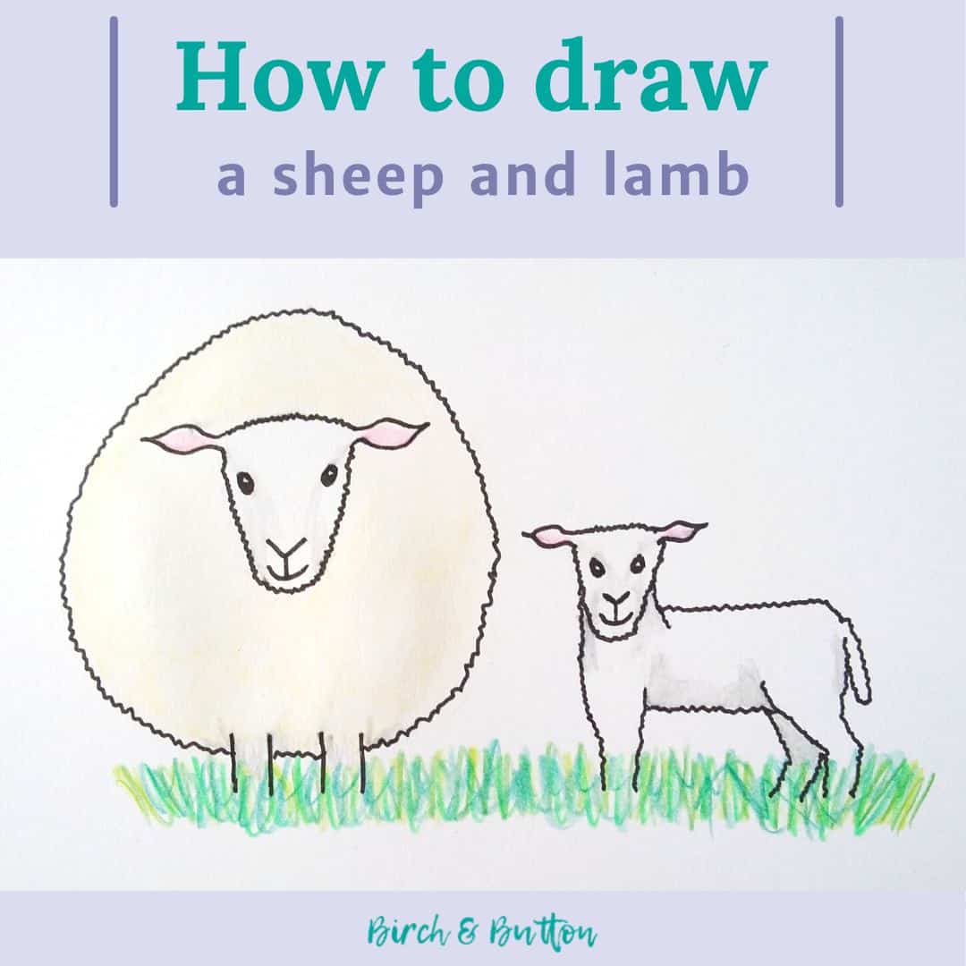 Sheep Drawing for Kids - HelloArtsy