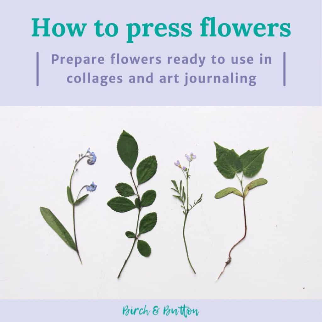 how to press flowers ready to use in collages and art journaling