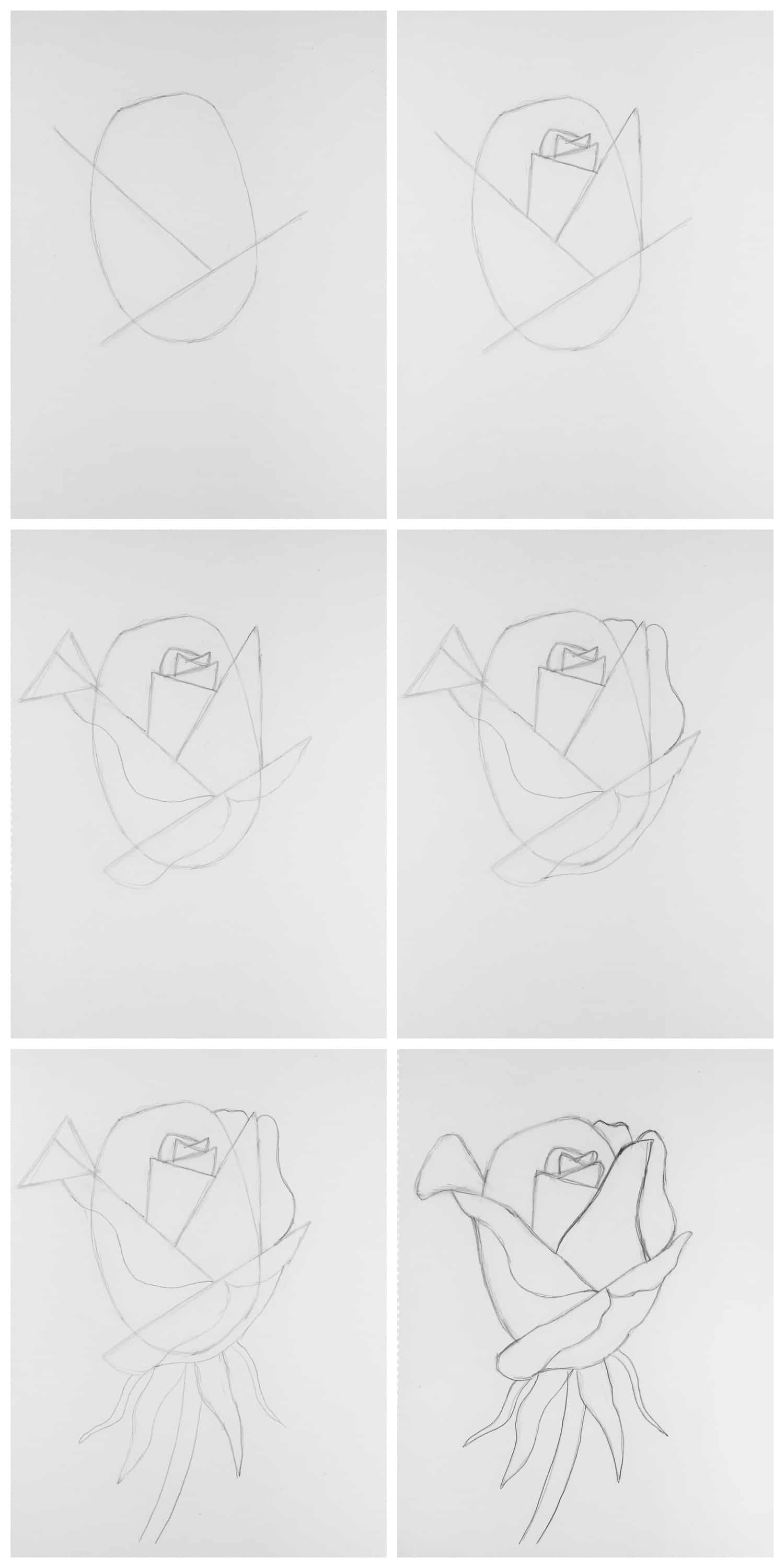 drawing roses step by step