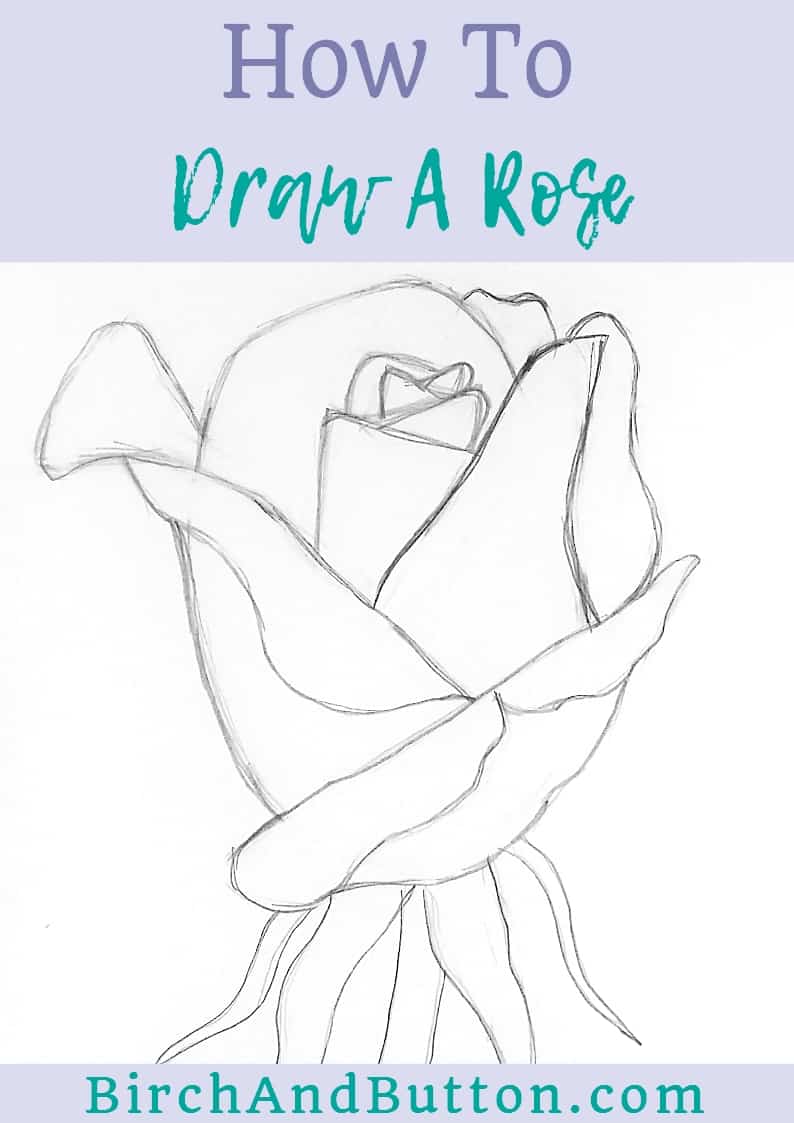 Rose Drawing - How To Draw A Rose Step By Step
