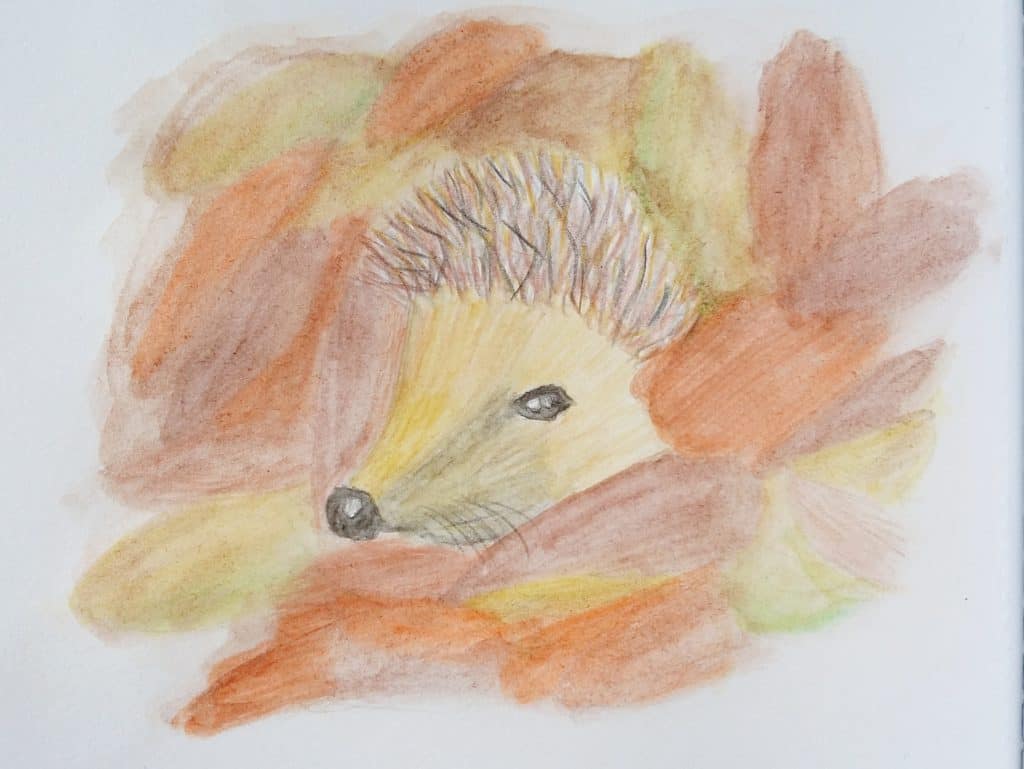 Embrace autumn with me by following along with my drawing tutorial. In this blog post I’ll teach you how to draw a hedgehog and then how to add colour to your doodle with watercolour pencils. Click through for the step-by-step instructions!
