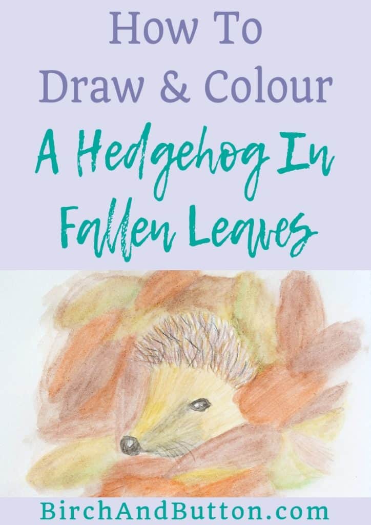 Embrace autumn with me by following along with my drawing tutorial. In this blog post I’ll teach you how to draw a hedgehog and then how to add colour to your doodle with watercolour pencils. Click through for the step-by-step instructions!