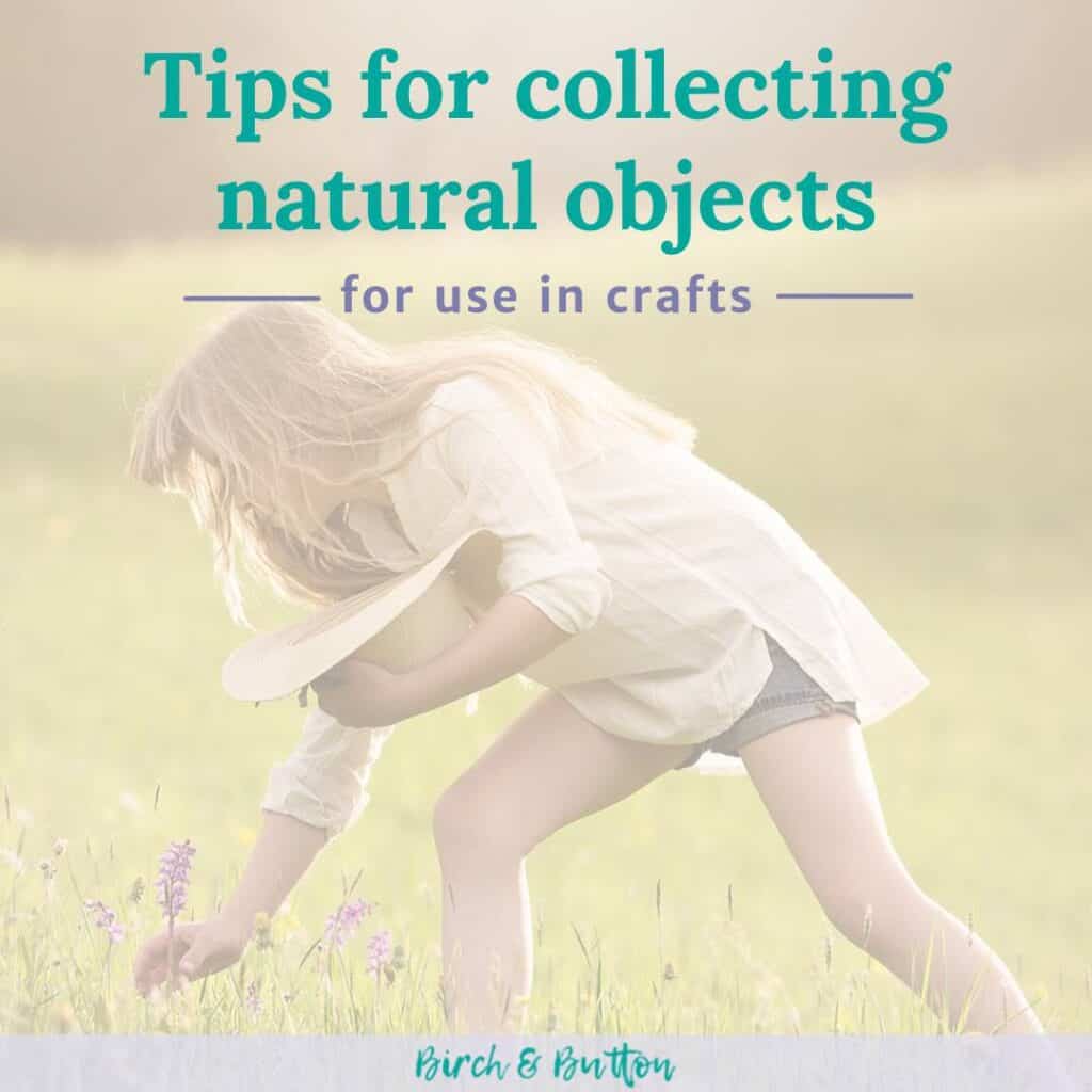 collecting natural objects for use in crafts