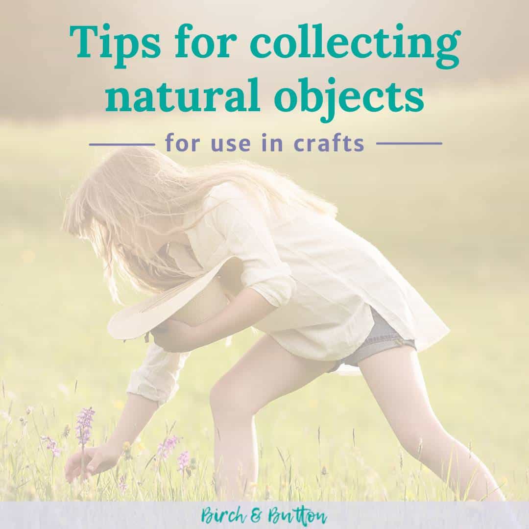 Storing Twigs for Crafts; harvesting and collecting is done, now what?